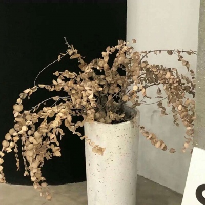 Furry创作思路分享福瑞群